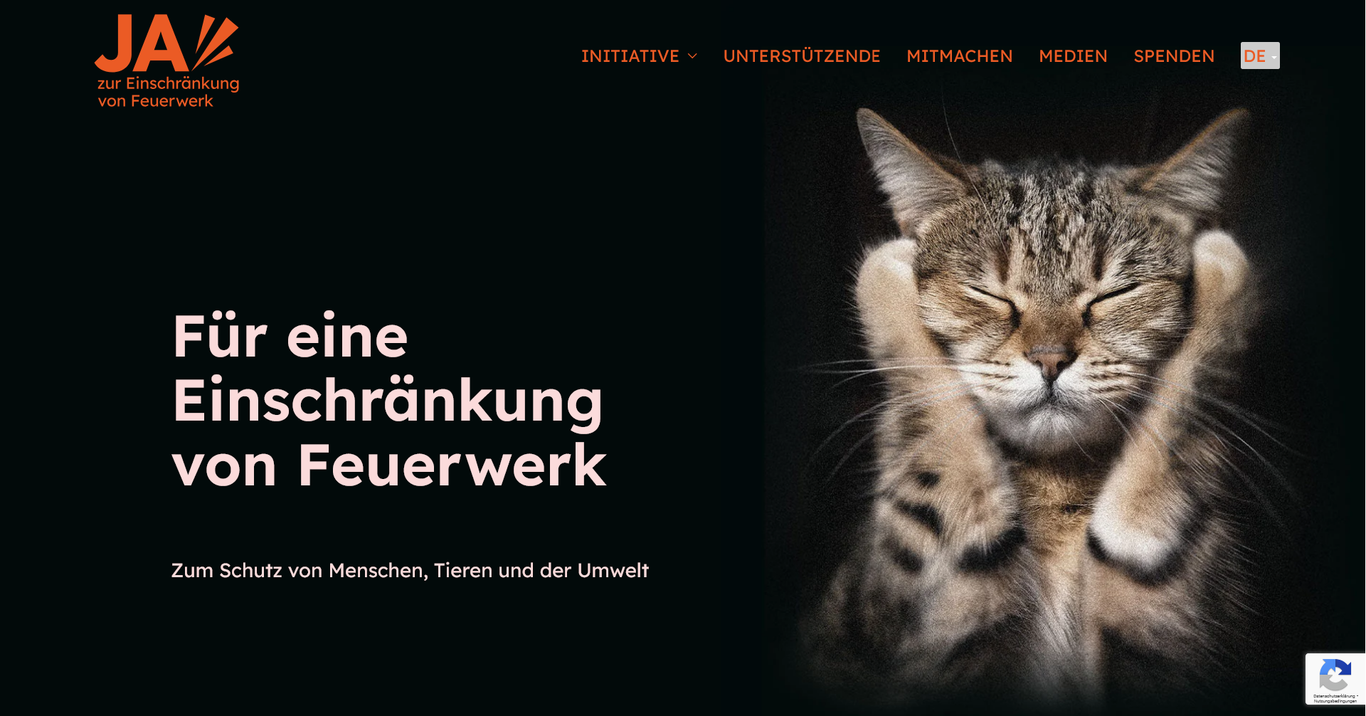 Feuerwerksinitative