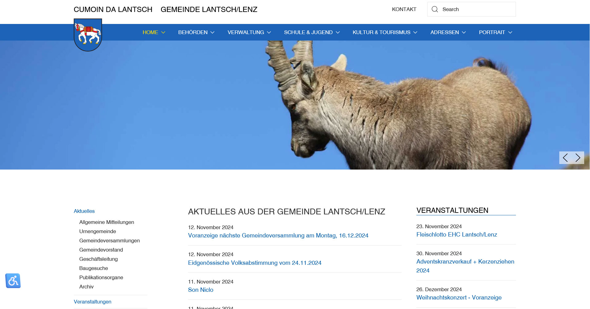 Referenz Gemeindewebsite