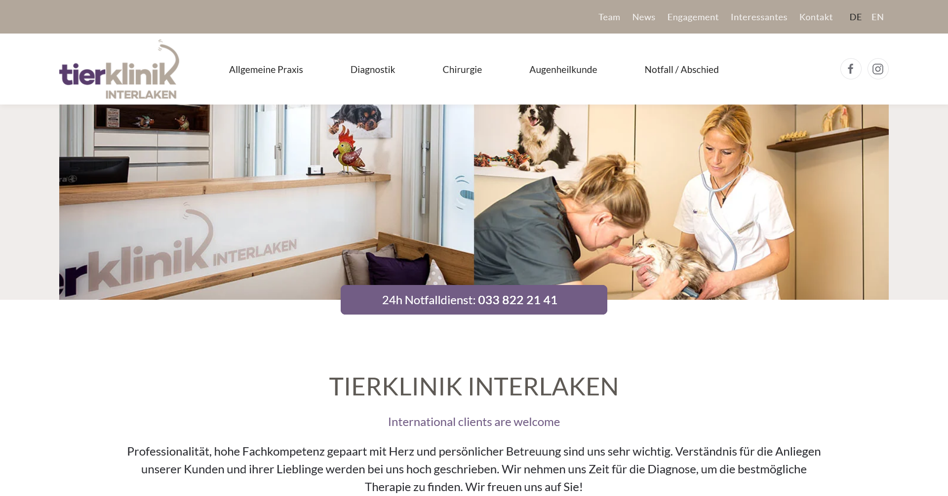 Website für Tierklinik