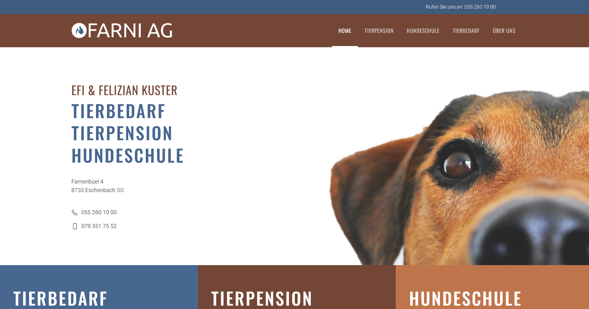 Website für Hundeschule