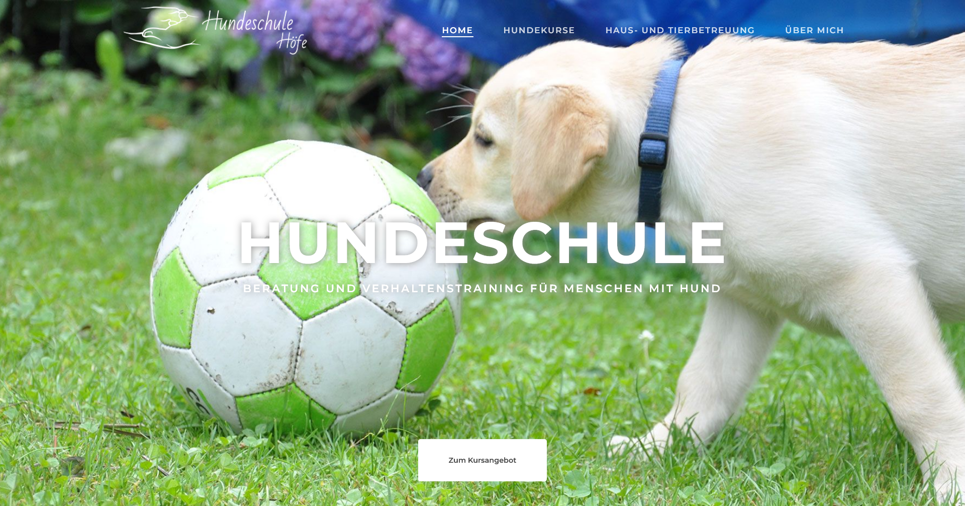 Website für Hundeschule