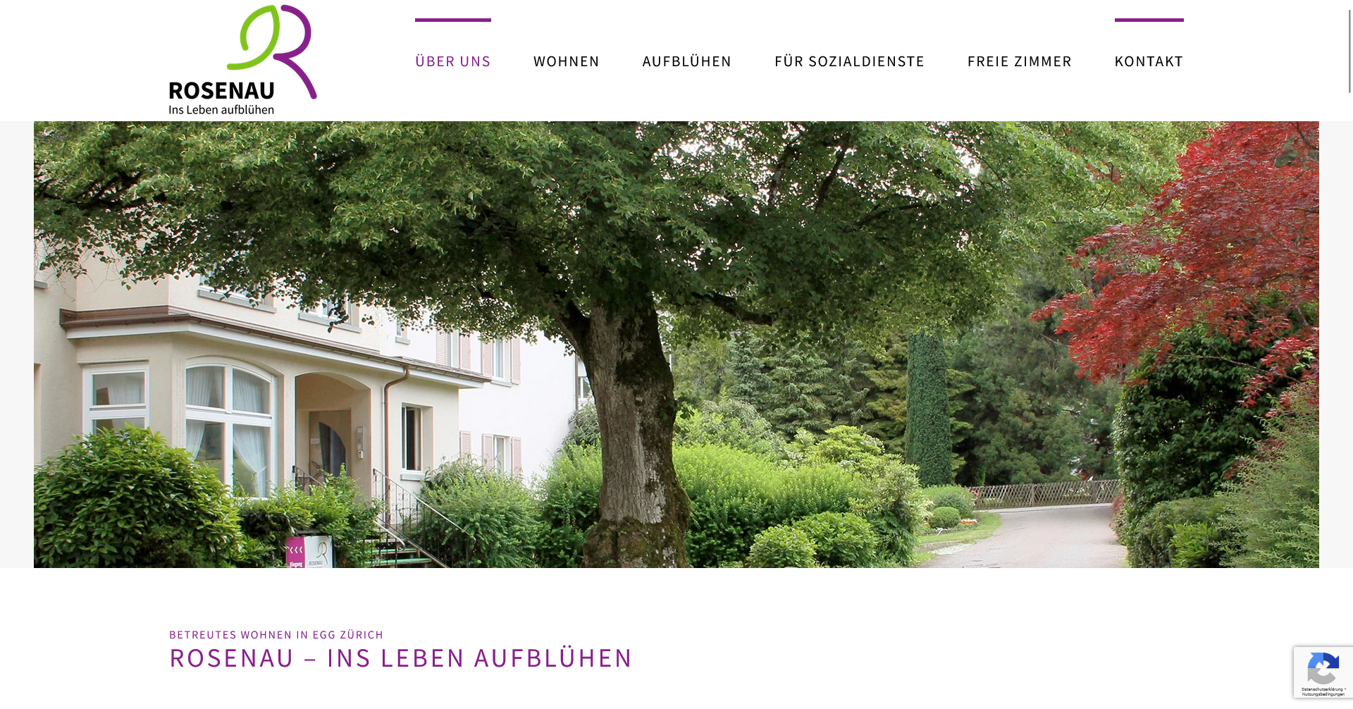 Website Referenz für Rosenau Egg