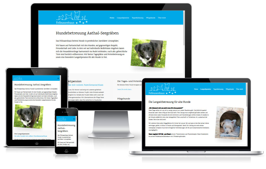 Website Hundebetreuung